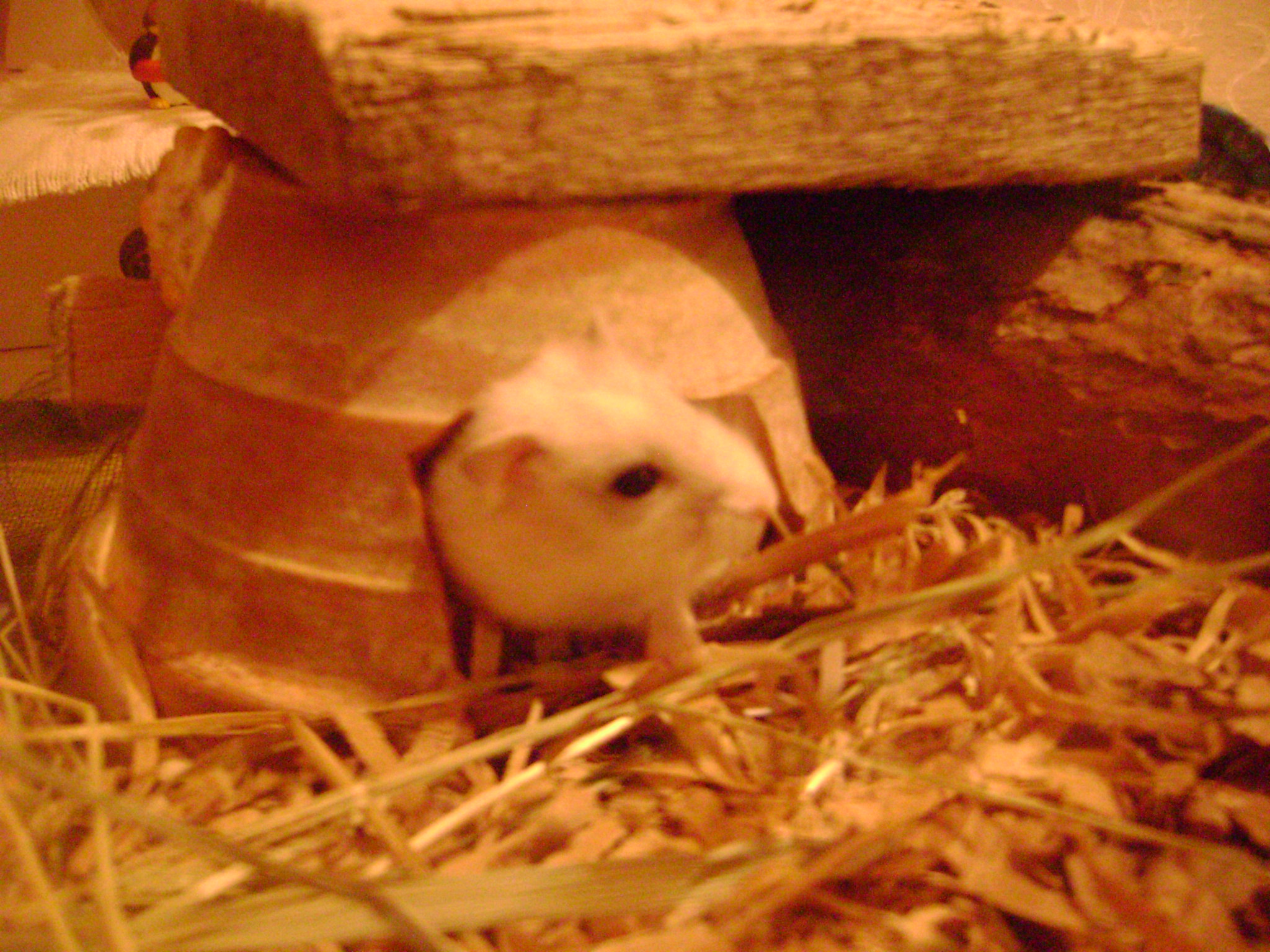 DSC03758.JPG